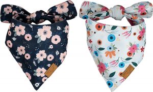 Remy+Roo Dog Bandanas - 2 Pack