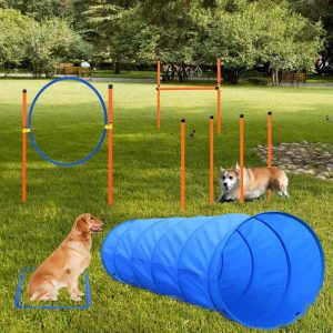 XiaZ Dog Agility Equipments