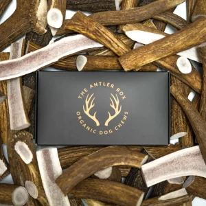 The Antler Box-Premium Elk Antler Dog Chews 