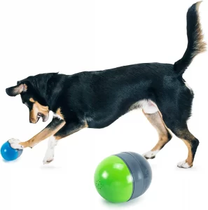 Electronic Squeaking Dog Toy